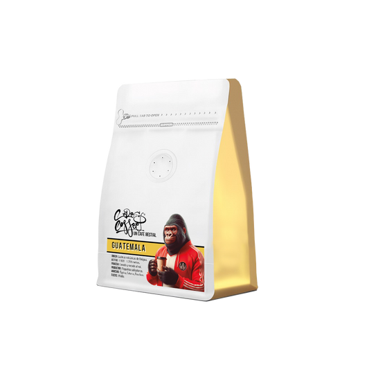 Bolsa de Café de Especialidad Guatemala Antigua Natural de Ceres Coffee, origen Antigua Guatemala, proceso natural